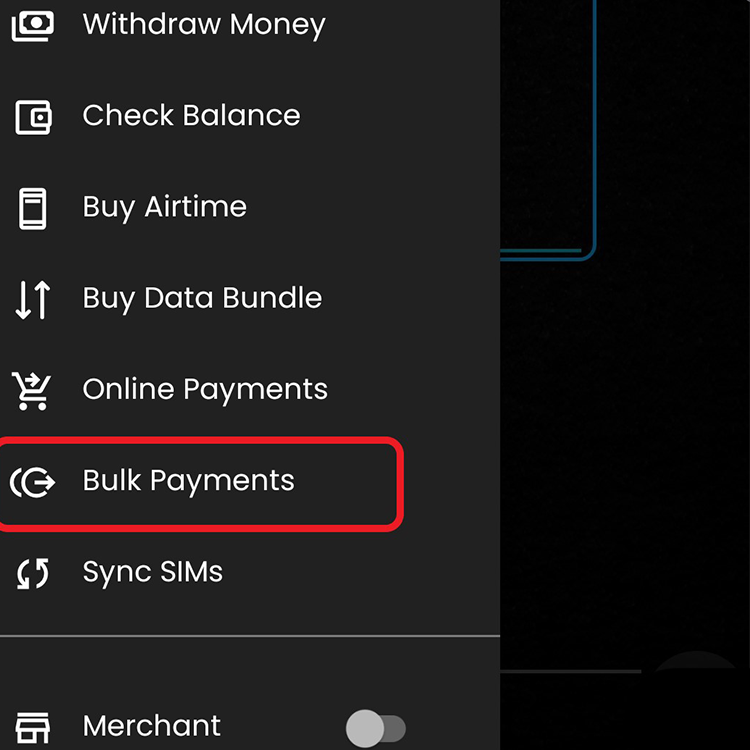 Bulk Payments