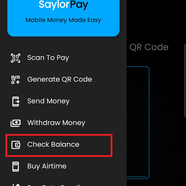 Check Balance