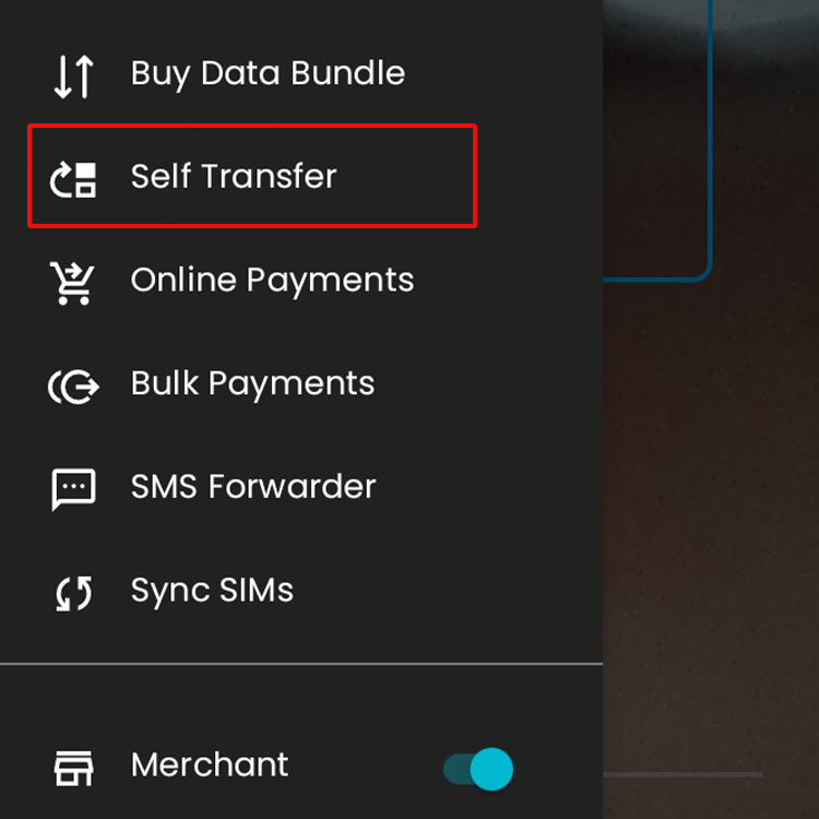 Self Transfer