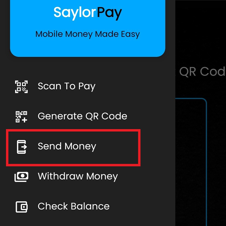 Send Money