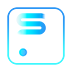 SaylorPay Logo